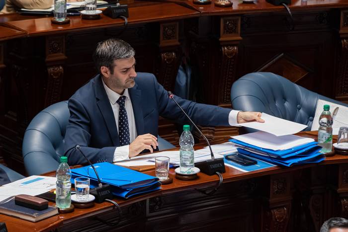 Nicolás Martinelli, ante la Comisión Permanente de la Cámara de Senadores, el 19 de enero. · Foto: Rodrigo Viera Amaral