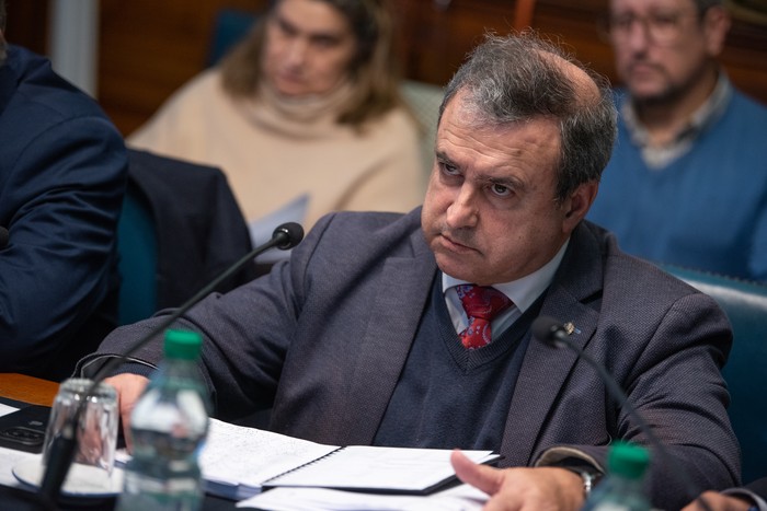 Raúl Lozano en la Comisión de Vivienda del Senado, el 11 de junio de 2024. · Foto: Gianni Schiaffarino
