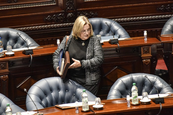 Graciela Bianchi en el Parlamento (archivo, junio de 2022). · Foto: Federico Gutiérrez