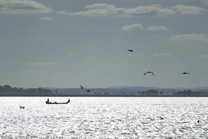 Laguna de Rocha. (archivo, setiembre de 2024) · Foto: Mara Quintero