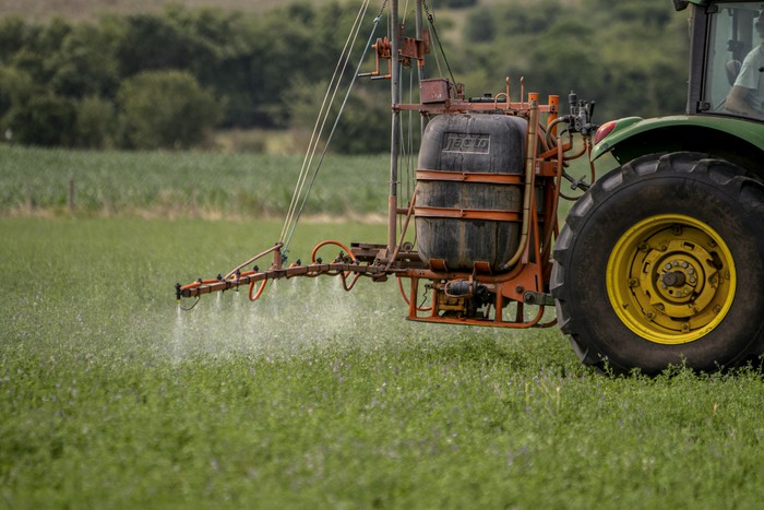 Aplicación de herbicidas en un campo con alfalfa, el 28 de enero, en el departamento de Colonia. · Foto: Ignacio Dotti