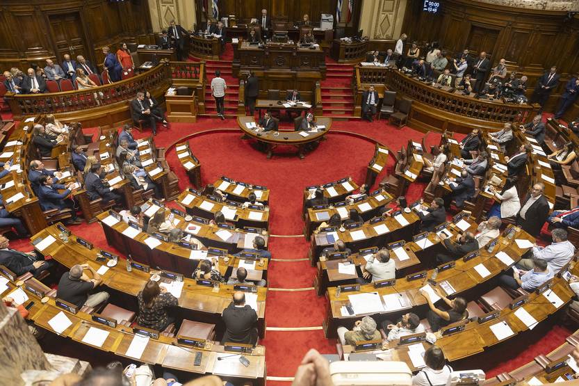 20250215 Parlamento