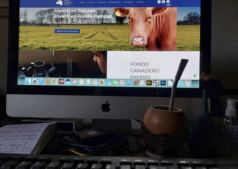 20250218 fondo pampas