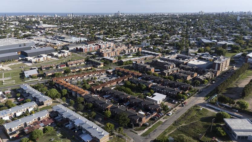 Lento 145 - Crece desde el pie 05