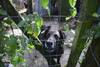 20250509 protectora animales 2