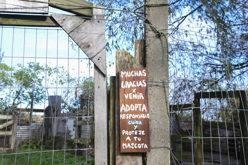 20250509 protectora animales 4