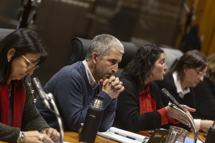 Elbia Pereira, Pablo Caggiani y Carolina Pallas, el 18 de junio, en la Comisión de Educación y Cultura de diputados. · Foto: Ernesto Ryan