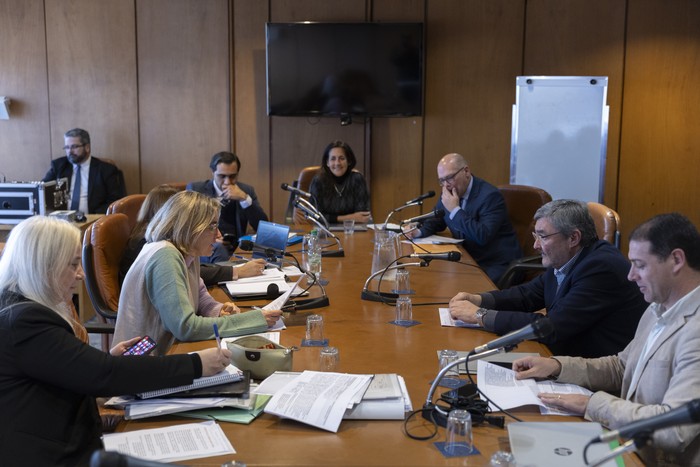 Comisión de Salud, el 8 de julio, en el anexo del Palacio Legislativo. · Foto: Ernesto Ryan