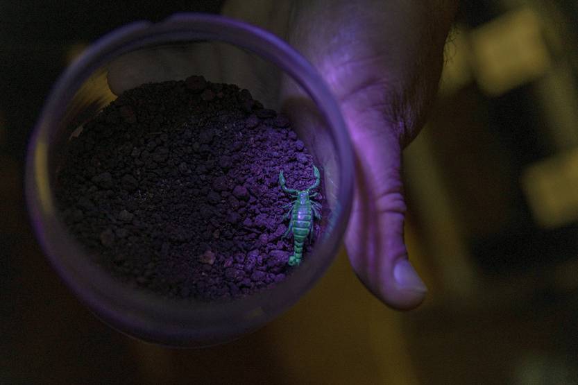 20250804 P13-15 CIE F2