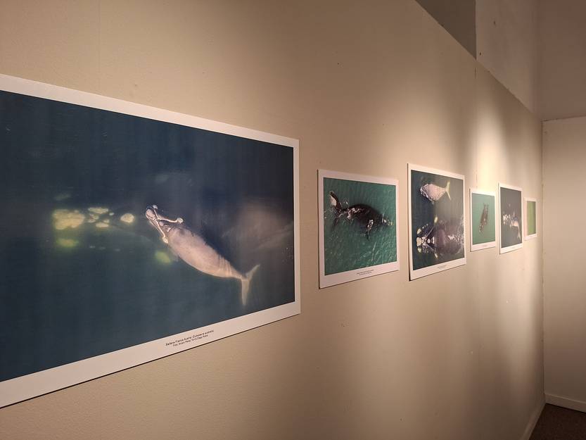 20250808 muestra foto maldonado 3