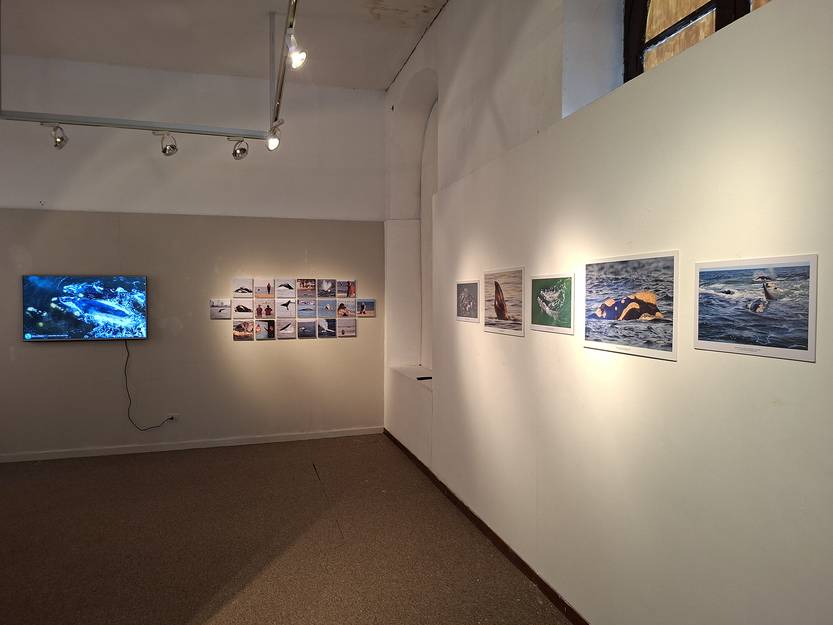 20250808 muestra foto maldonado 2