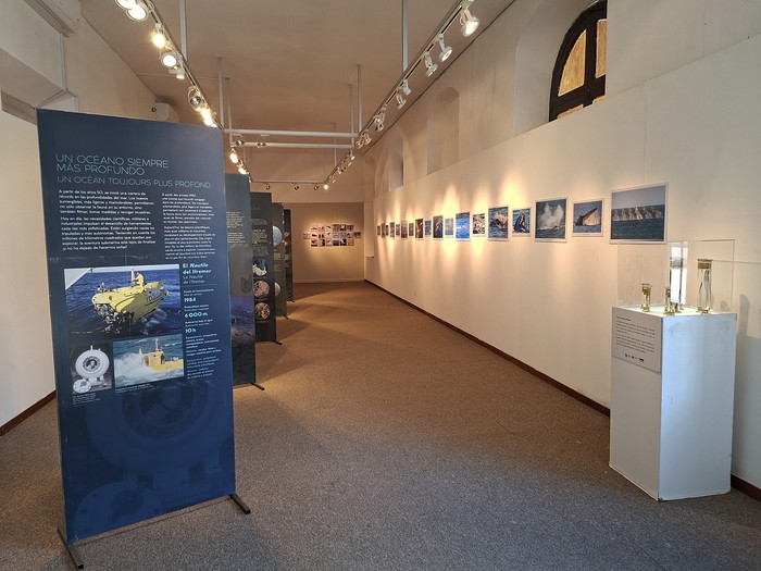 Foto principal del artículo 'Océano, un buceo insólito: llegó a Maldonado la muestra fotográfica de especies marinas promovida por la Embajada de Francia'