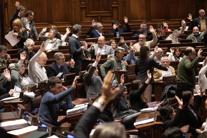 Votación en la Asamblea General (archivo, agosto de 2025). · Foto: Alessandro Maradei