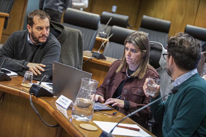 Tamara Paseyro, en la Comisión de Vivienda de Diputados. · Foto: Gianni Schiaffarino