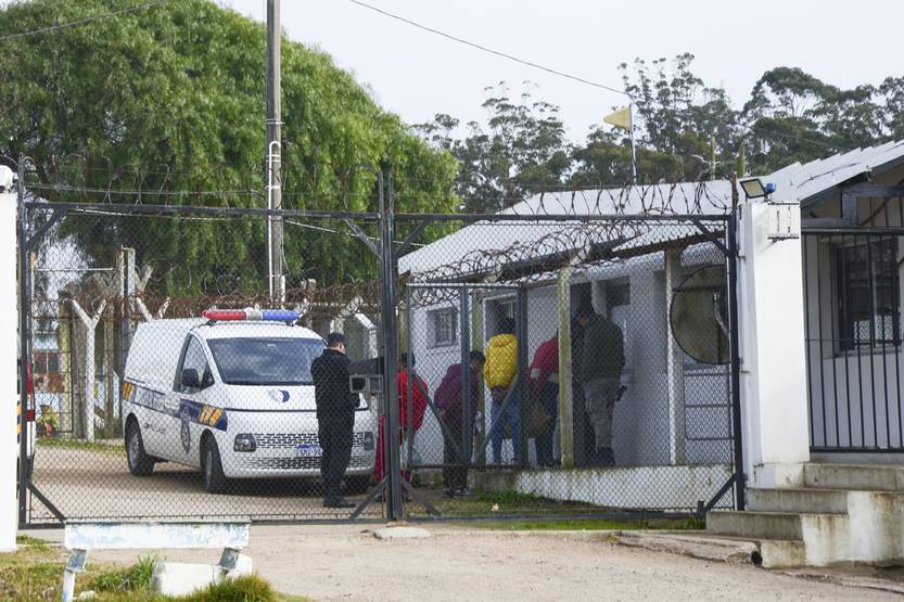 20250819 maldo las rosas 2