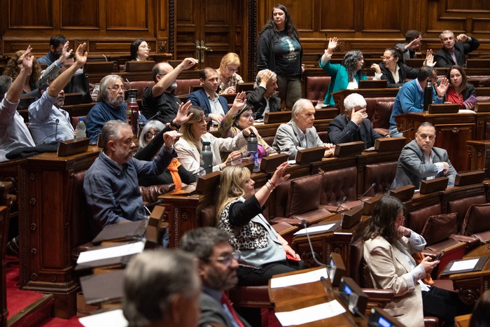 Durante la sesión de la Asamblea General, el 17 de setiembre. · Foto: Gianni Schiaffarino