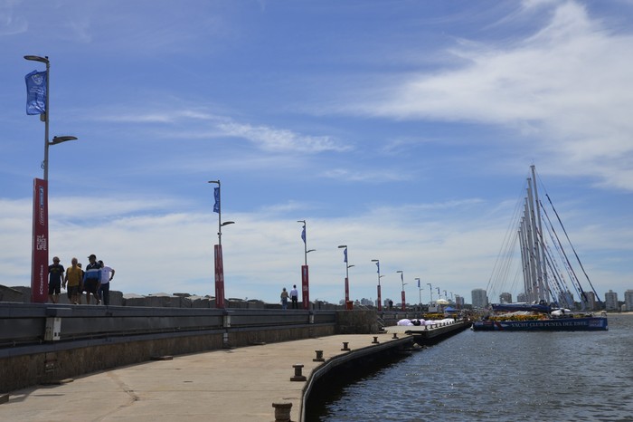 Veleros de la regata Clipper en el puerto de Punta del Este. · Foto: Natalia Ayala