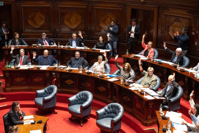 Durante la votacion, el 15 de octubre, durante el plenario del Senado. · Foto: Gianni Schiaffarino Durante la votacion, el 15 de octubre, durante el plenario del Senado. · Foto: Gianni Schiaffarino