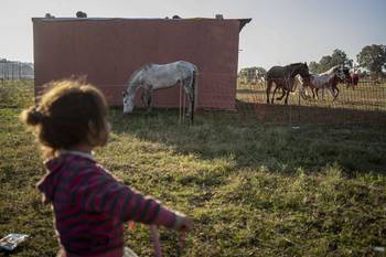 Archivo, junio de 2020. · Foto: Mariana Greif