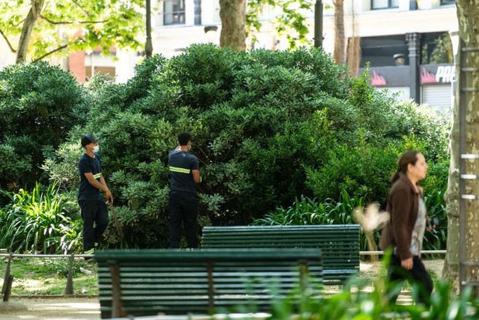 Foto principal del artículo 'Agenda verde: devuelven diseño original a canteros de plaza Matriz e inauguran huerta comunitaria en la Seregni' · Foto: Intendencia de Montevideo
