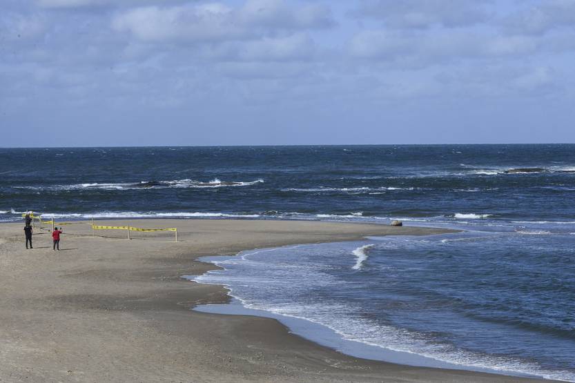 20251105 maldo elefanta 2