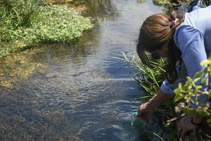 20251110 lunes ambiente 02