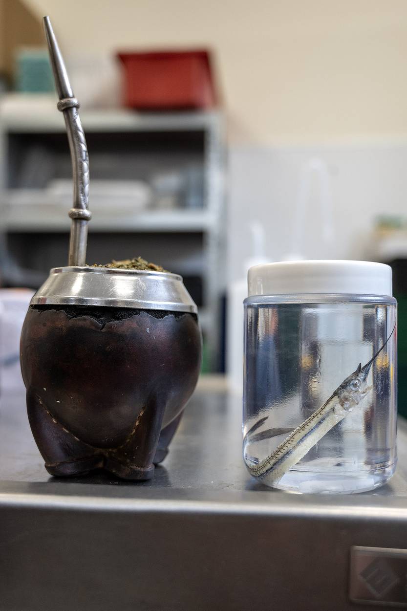 Lento 154 - Lo que el Falkor se llevó