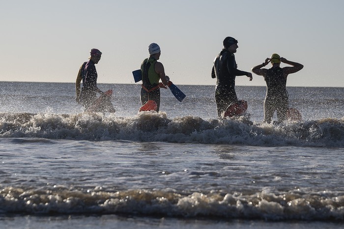 Foto principal del artículo 'Nadar juntos'