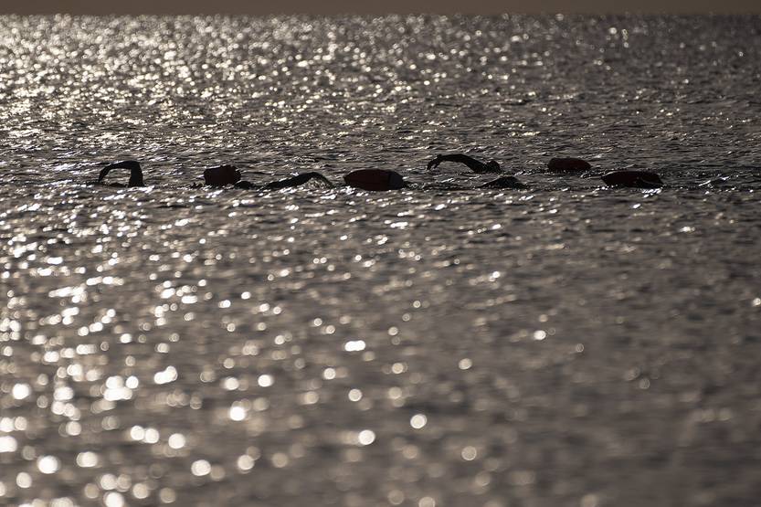 Lento 154 - Nadar juntos 02