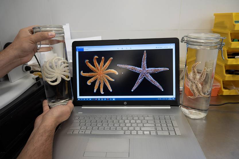 Lento 154 - Lo que el Falkor se llevó 02