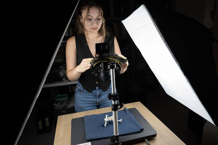 Lento 154 - Lo que el Falkor se llevó 03