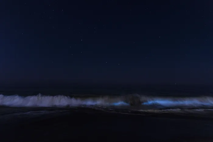 Archivo, enero de 2026. · Foto: Ernesto Ryan