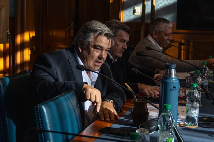 Carlos Camy en la Comisión de Seguridad, en el Palacio Legislativo, el 30 de junio. Foto: Nadia Iula