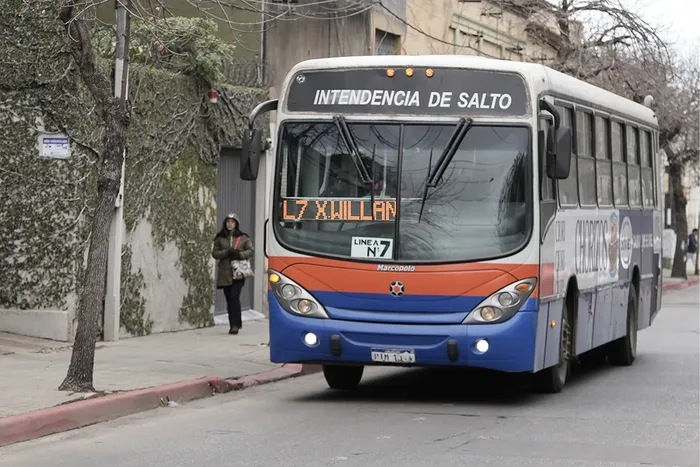 Foto principal del artículo 'Salto moderniza su flota de ómnibus y apuesta a mejorar el servicio sin aumentar el precio del boleto' · Foto: Ariel Volpi