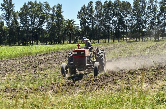 Foto principal del artículo 'Censo agropecuario: resultados preliminares' · Foto: Ignacio Dotti