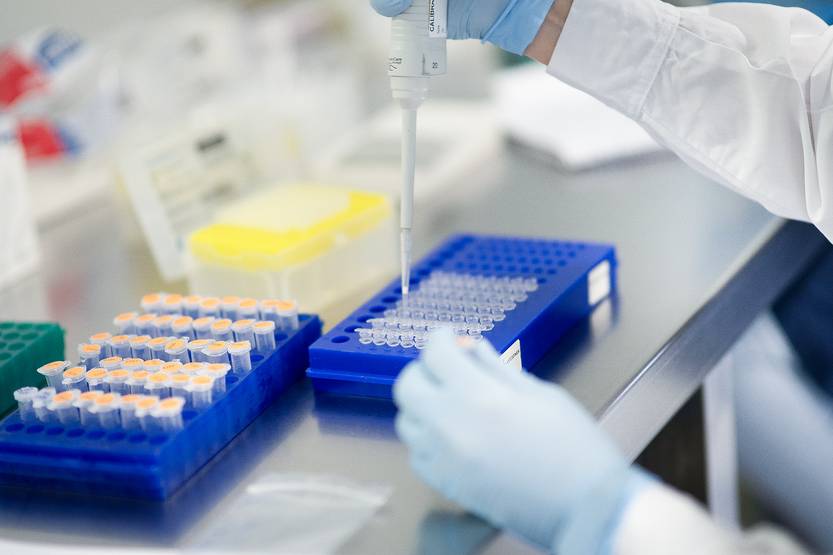 26-27 20251231 ciencia