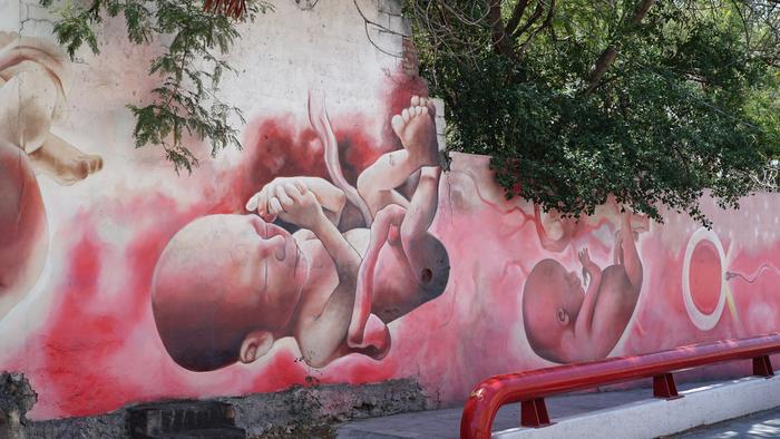Un mural callejero en Monterrey, Nuevo León, del grupo antiabortista 40 Días por la Vida · Foto: Jorge Balleza /openDemocracy
