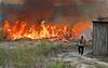 Selva amazónica, al sur de Novo Progresso en el estado de Pará, Brasil, el 15 de agosto. Selva amazónica, al sur de Novo Progresso en el estado de Pará, Brasil, el 15 de agosto.