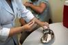 Vacunación de CoronaVac COVID-19 de Sinovac Biotech, ayer, en el Hospital Municipal Oceánico, en Niteroi, Río de Janeiro.
· Foto: Mauro Pimentel, AFP Vacunación de CoronaVac COVID-19 de Sinovac Biotech, ayer, en el Hospital Municipal Oceánico, en Niteroi, Río de Janeiro.
· Foto: Mauro Pimentel, AFP