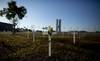 Centenares de cruces instaladas como homenaje a las víctimas de covid-19, este domingo, en la Explanada de los Ministerios de Brasil, en Brasilia.
· Foto: Myke Sena, EFE Centenares de cruces instaladas como homenaje a las víctimas de covid-19, este domingo, en la Explanada de los Ministerios de Brasil, en Brasilia.
· Foto: Myke Sena, EFE