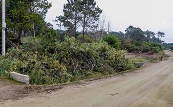 Los Dorados y Golondrinas. Foto: Comisión Fomento Punta Colorada.