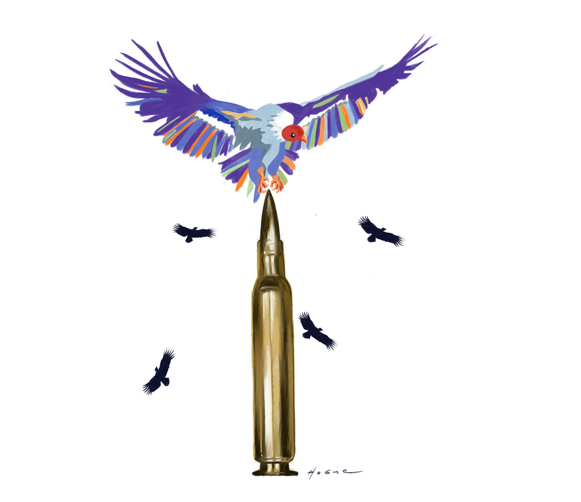 le monde 36 - Malvinas, día 1