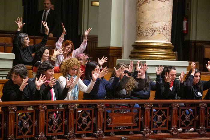 Barras del Senado durante la votación del proyecto de ley de tenencia compartida (02.08.2022). · Foto: Mauricio Zina, adhocfotos