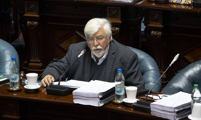 Eduardo Bonomi en el Senado (archivo, junio de 2020). · Foto: Mariana Greif