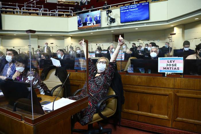 Tratamiento del proyecto de ley José Matías, el 15 de junio, en la Cámara de Diputadas y Diputados de Chile. Foto: Prensa de la Cámara de Diputadas y Diputados de Chile.