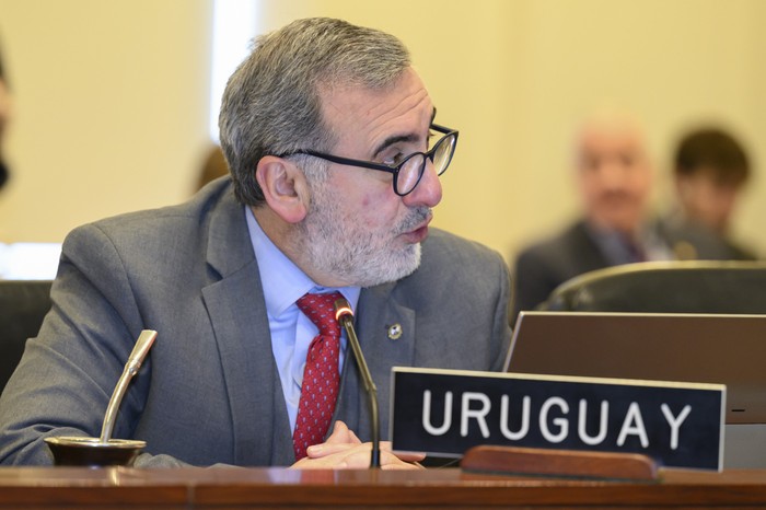 Edison Lanza, durante el Consejo de la OEA. Foto: Juan Manuel Herrera, OAS