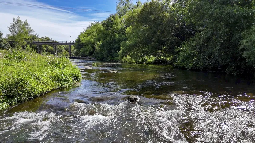 20260324 suple T P10-11F4