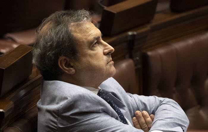 Raúl Lozano, en la Cámara de Senadores (archivo, abril de 2020). · Foto: Mariana Greif