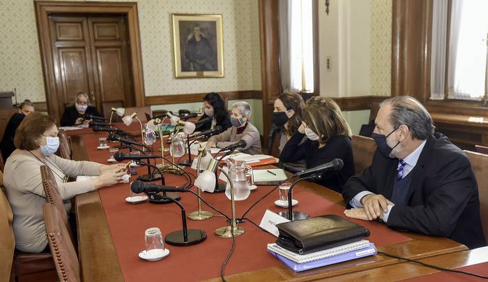 Sesión de la Comisión de Derechos Humanos del Senado. · Foto: Federico Gutiérrez