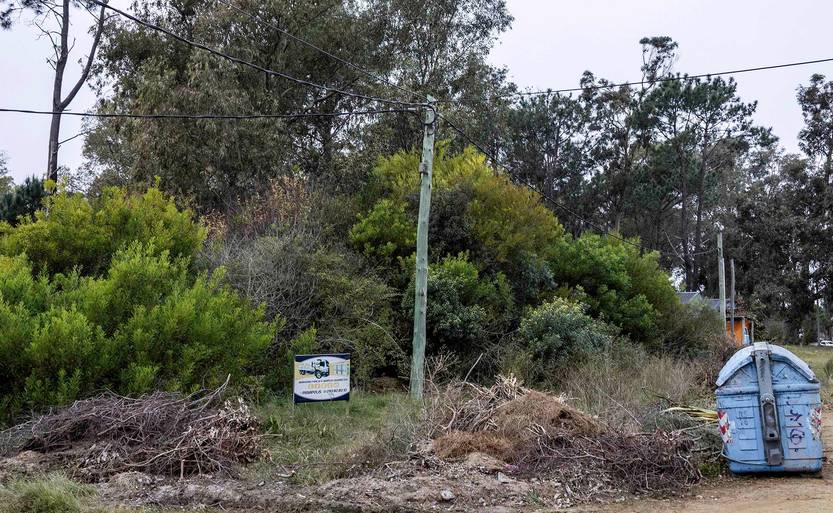 20250715 basura maldonado 3